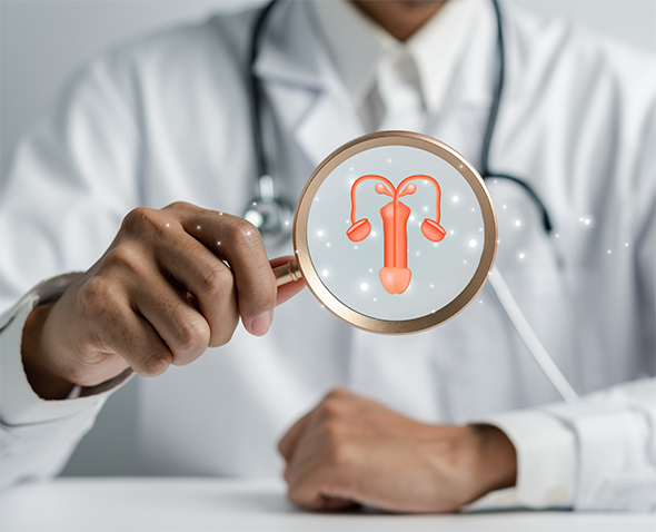 Prostate